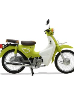 Xe Cub Ally New 50cc xanh chuối